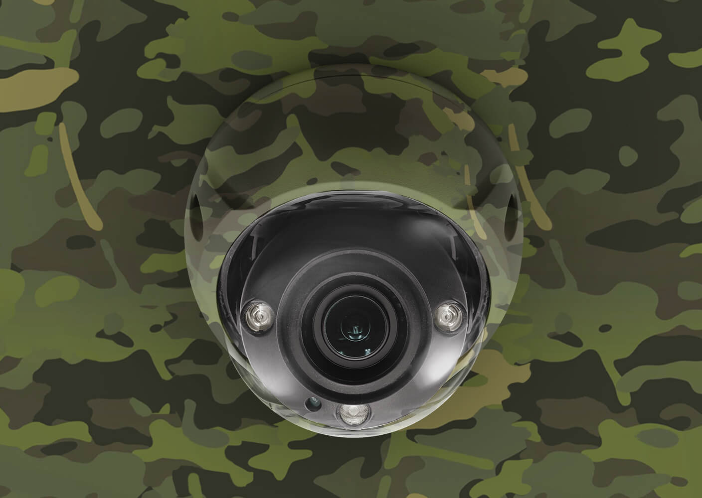 Security Cameras that blend into the background